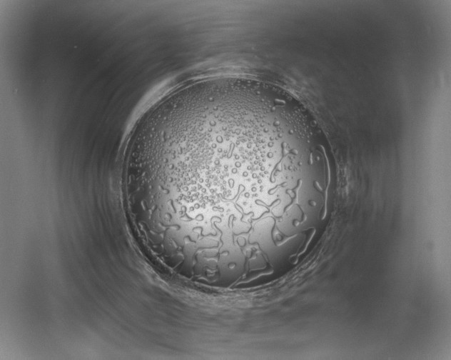 X0000060770004200511101226