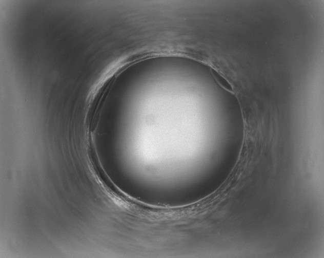 X0000060770005200511101226