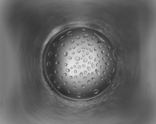 X0000060770006200511101226