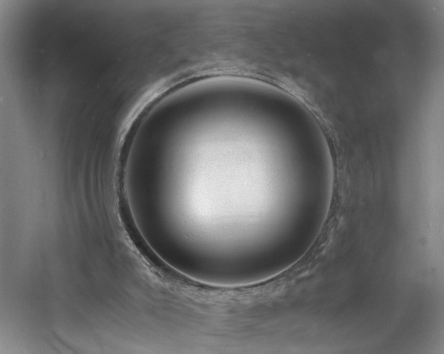 X0000060770007200511101226