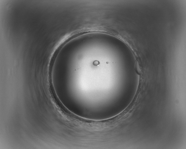 X0000060770008200511101226