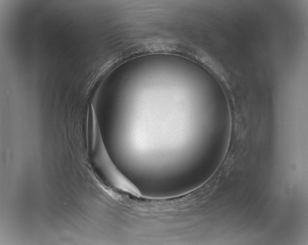 X0000060770009200511101226