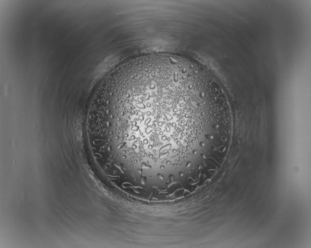 X0000060770010200511101226