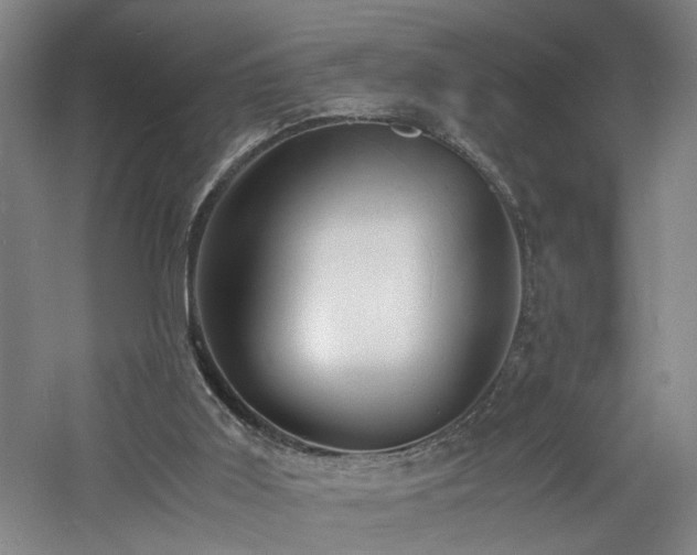 X0000060770011200511101226