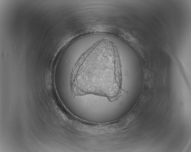 X0000060770012200511101226