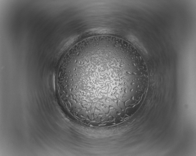 X0000060770014200511101226