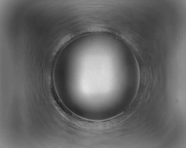 X0000060770015200511101226