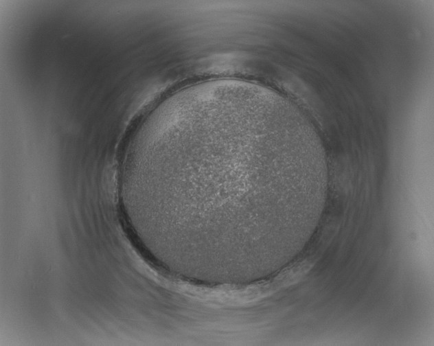 X0000060770016200511101226