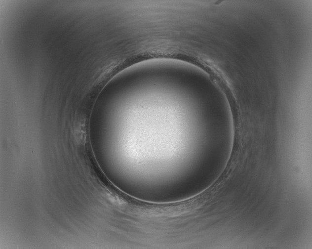 X0000060770017200511101226