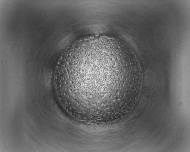 X0000060770018200511101226