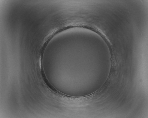 X0000060770019200511101226