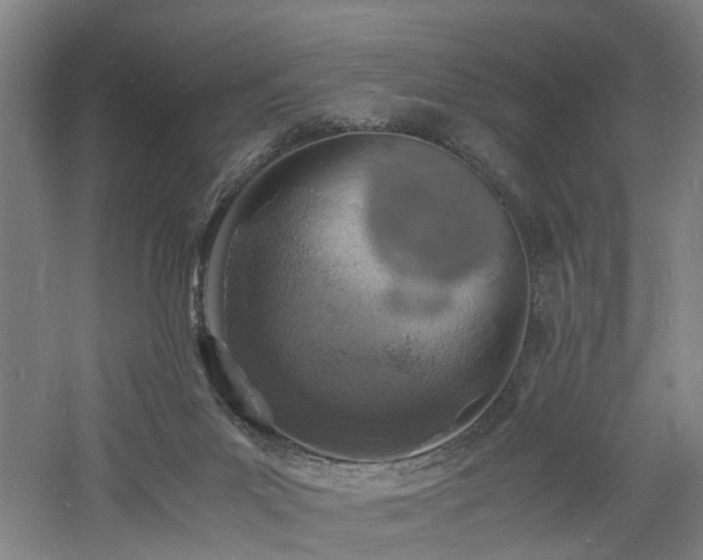 X0000060770023200511101226