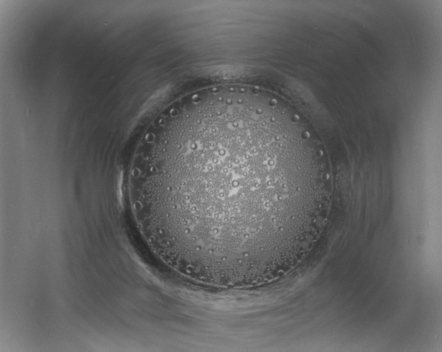 X0000060770024200511101226