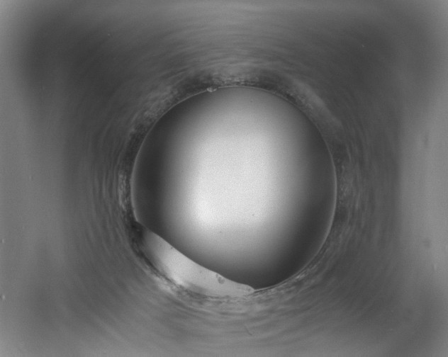 X0000060770025200511101226