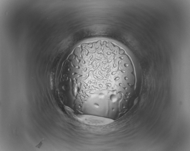 X0000060770026200511101226