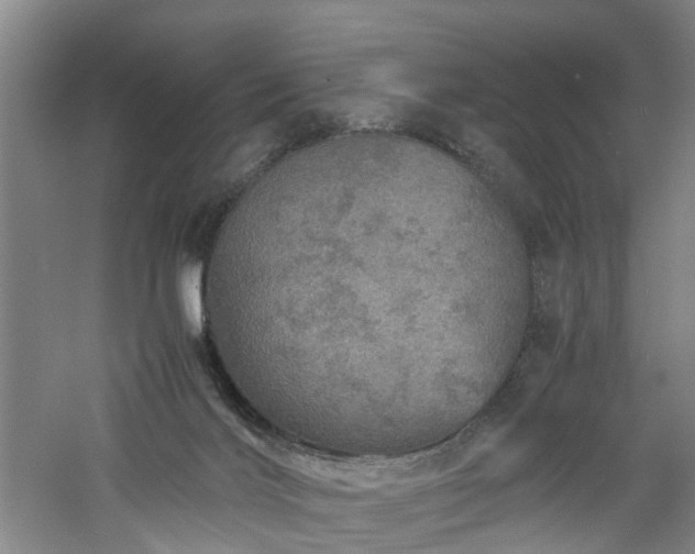 X0000060770028200511101226