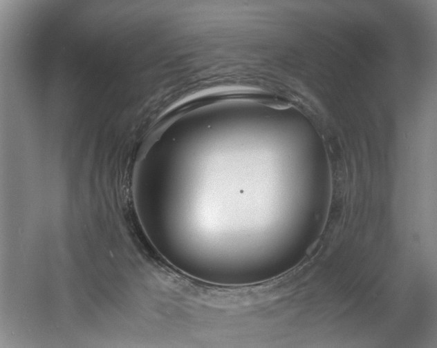 X0000060770029200511101226