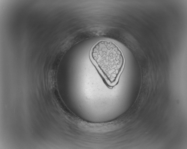 X0000060770030200511101226