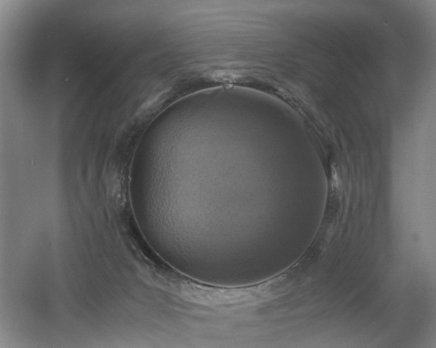 X0000060770031200511101226