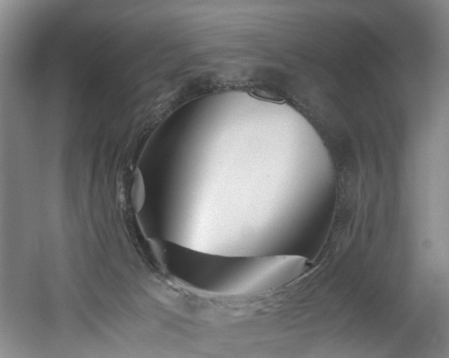 X0000060770033200511101226