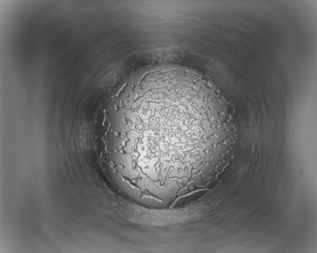 X0000060770034200511101226