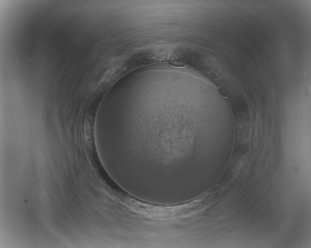 X0000060770035200511101226