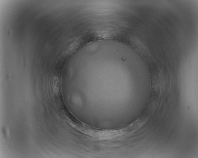 X0000060770036200511101226