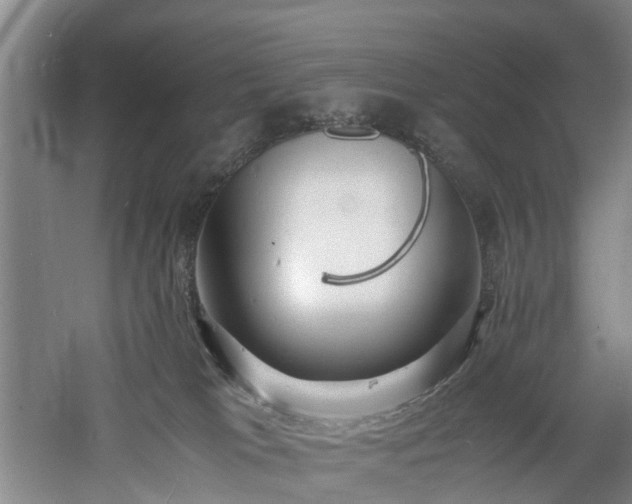 X0000060770037200511101226