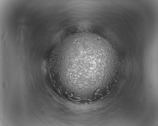 X0000060770038200511101226