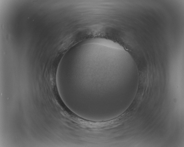 X0000060770039200511101226