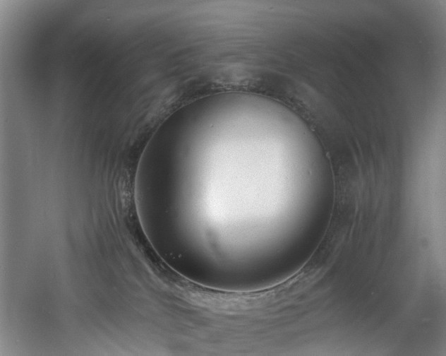 X0000060770040200511101226