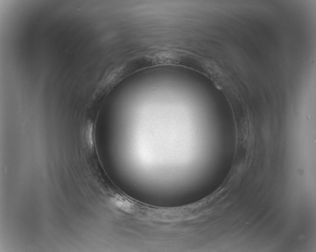 X0000060770041200511101226