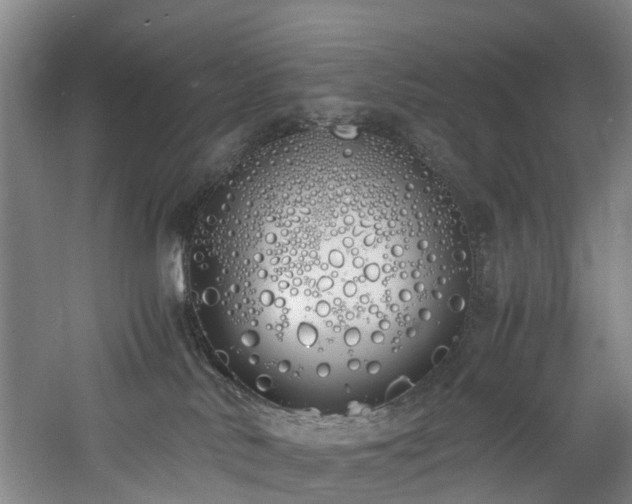 X0000060770042200511101226