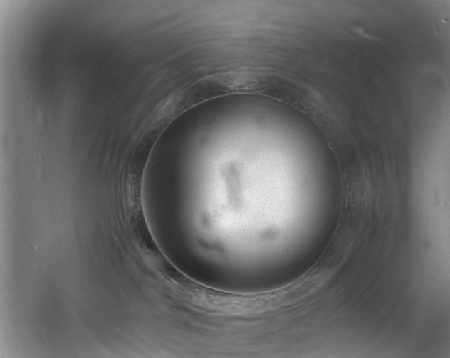 X0000060770044200511101226