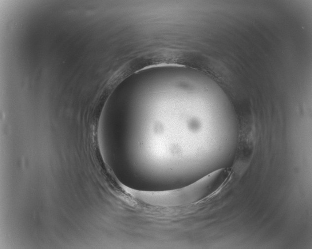 X0000060770045200511101226