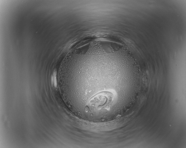 X0000060770046200511101226