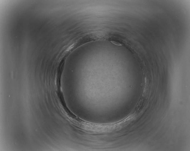 X0000060770048200511101226