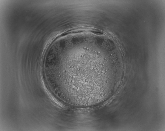 X0000060770049200511101225