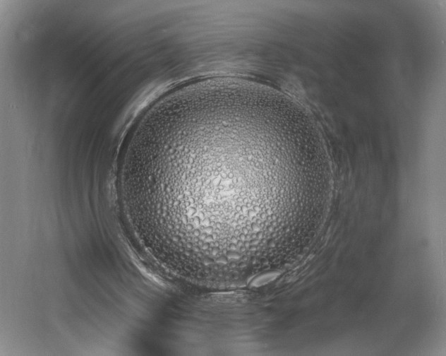 X0000060770050200511101225