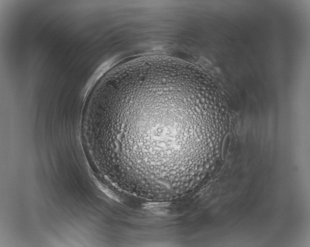 X0000060770051200511101225