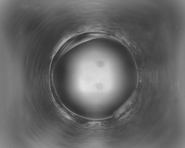 X0000060770052200511101225