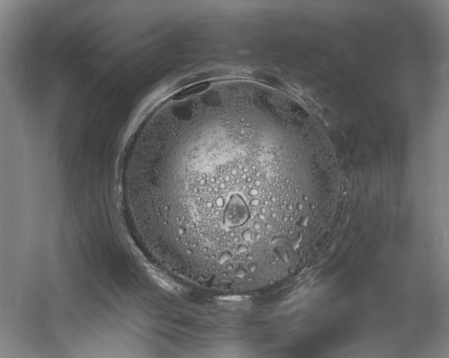 X0000060770053200511101225