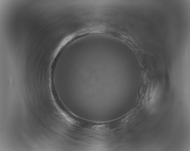 X0000060770054200511101225