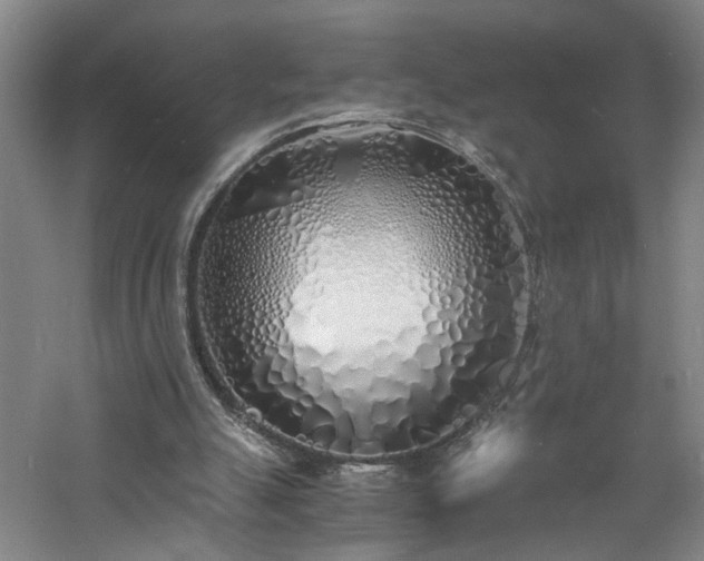 X0000060770055200511101225