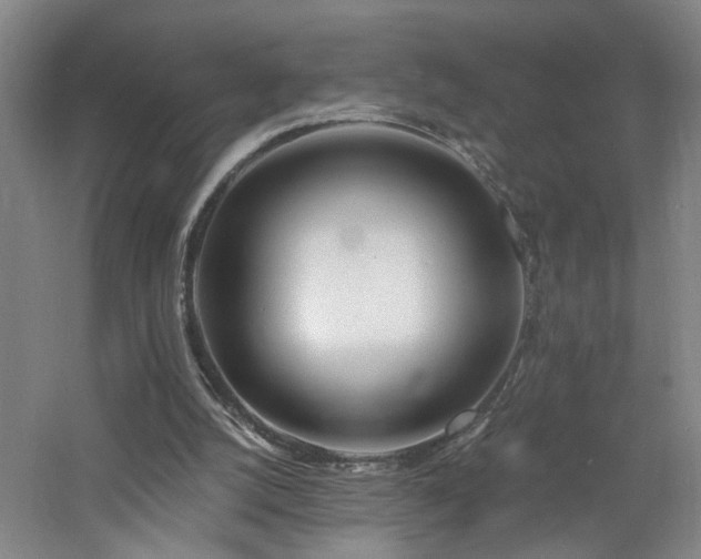 X0000060770056200511101225