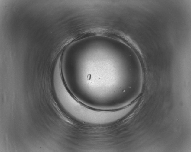 X0000060770057200511101225