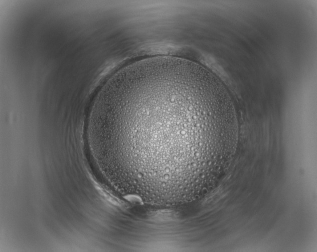 X0000060770058200511101225