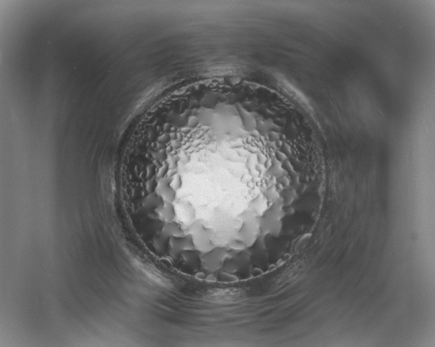 X0000060770059200511101225