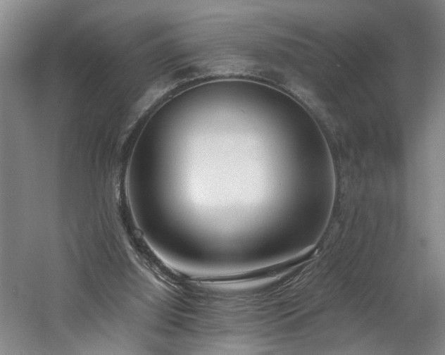 X0000060770060200511101225