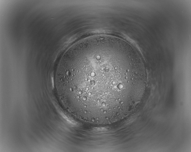 X0000060770061200511101225